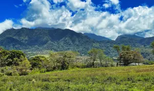 土地 农场 在 Boqueron 出售