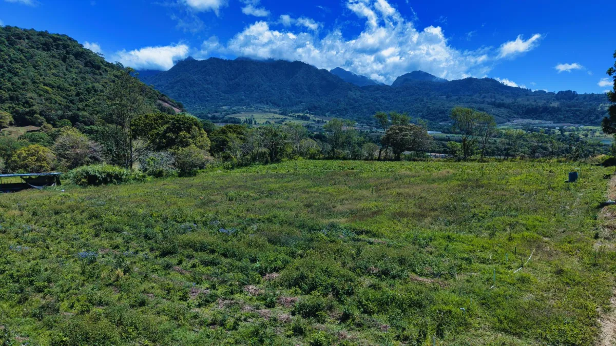 Land for Sale – Volcán, Cordillera Arriba Entrance