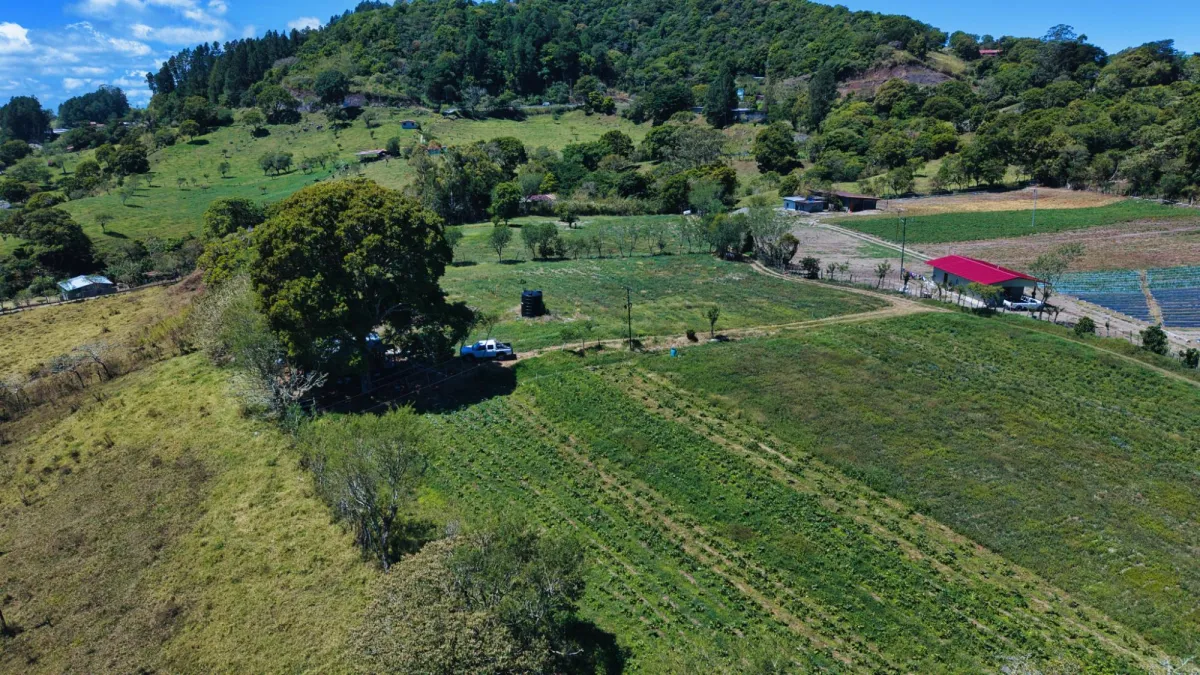 Land for Sale – Volcán, Cordillera Arriba Entrance