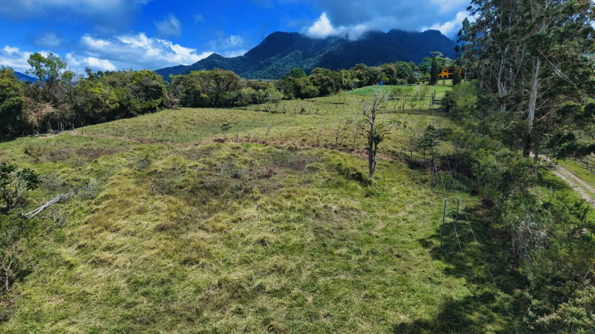 Terre / Ferme à Boqueron à vendre