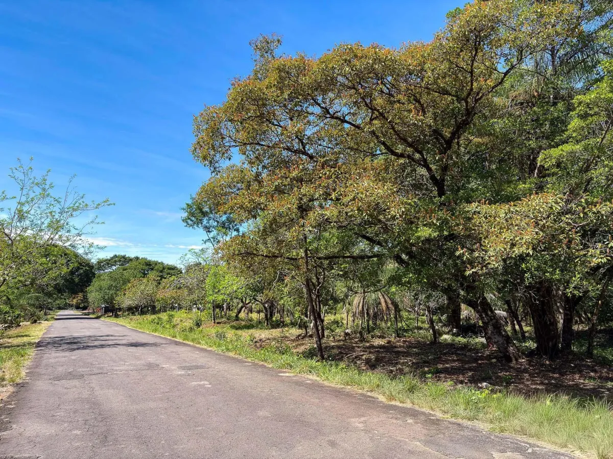 Terreno plano de 9.445 m² en calle pavimentada en venta en Caldera