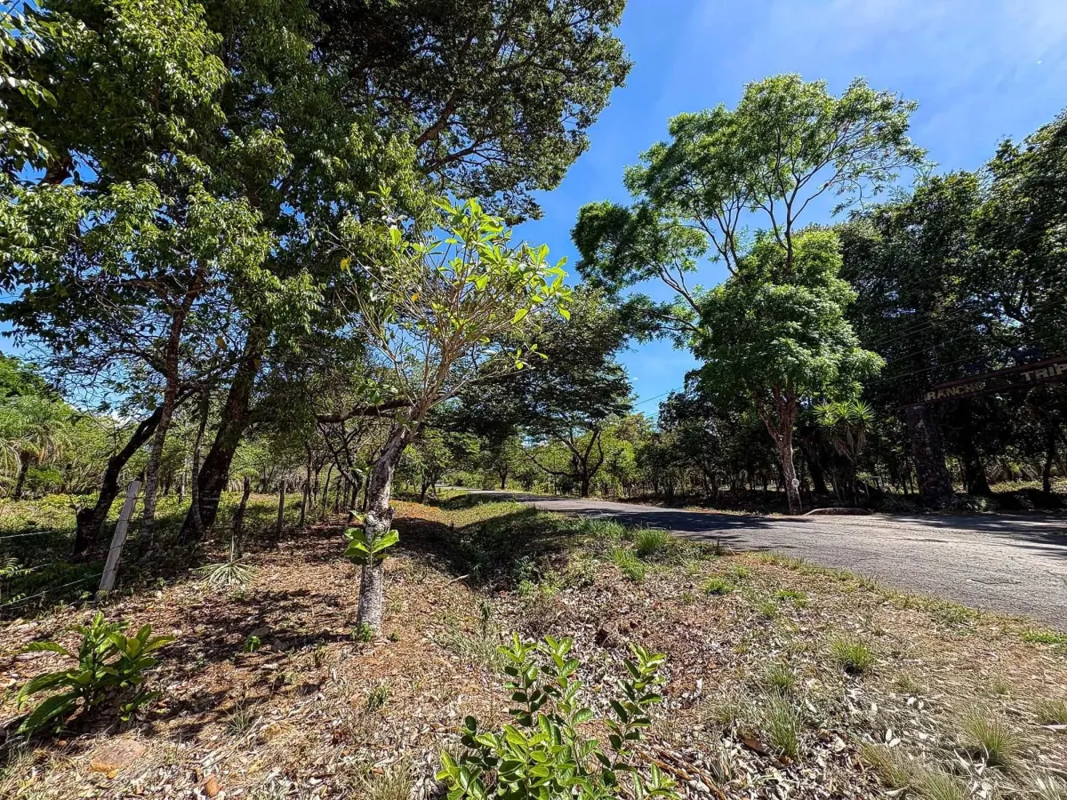 Terreno plano de 9.445 m² en calle pavimentada en venta en Caldera