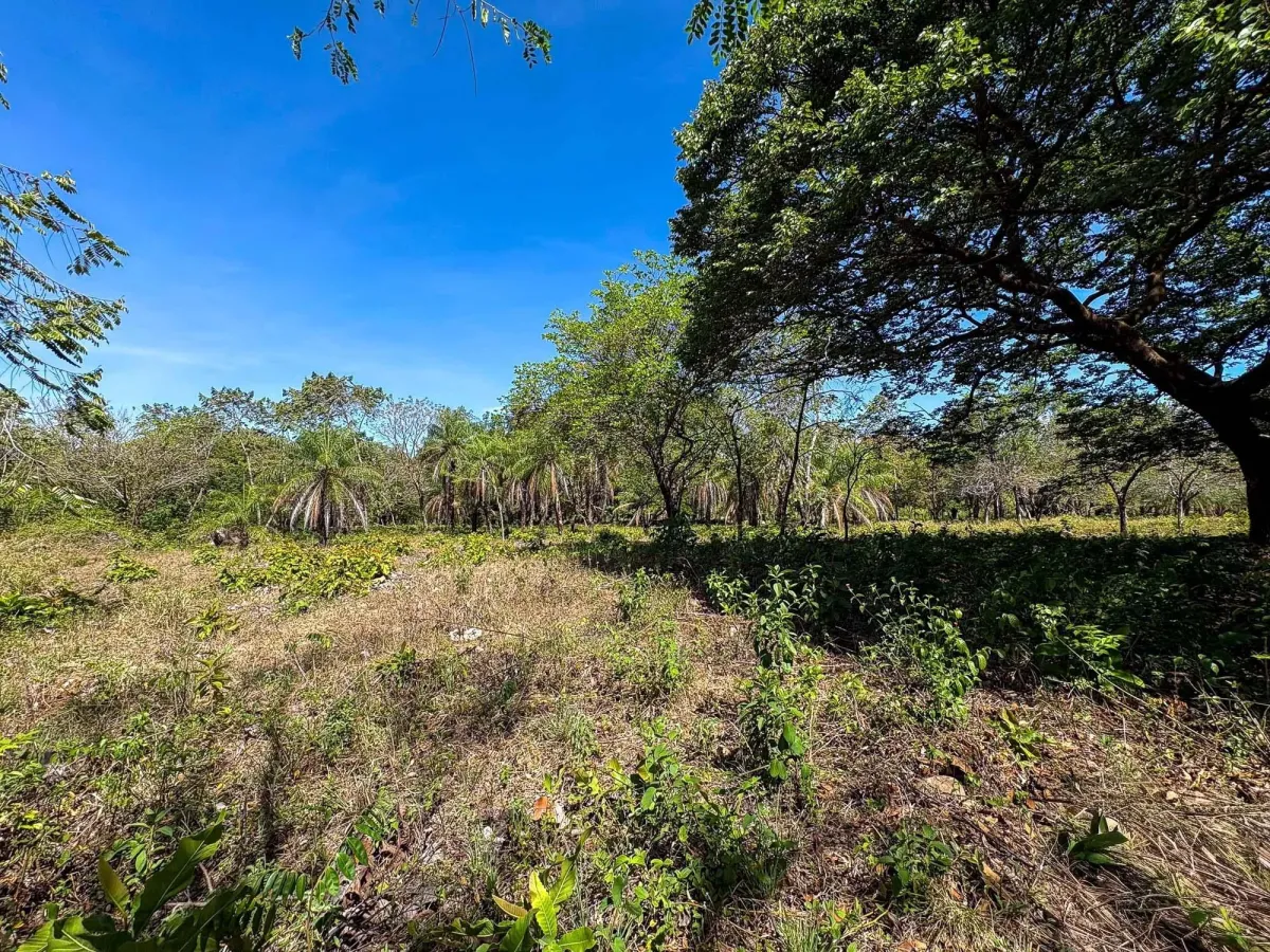 Terreno plano de 9.445 m² en calle pavimentada en venta en Caldera