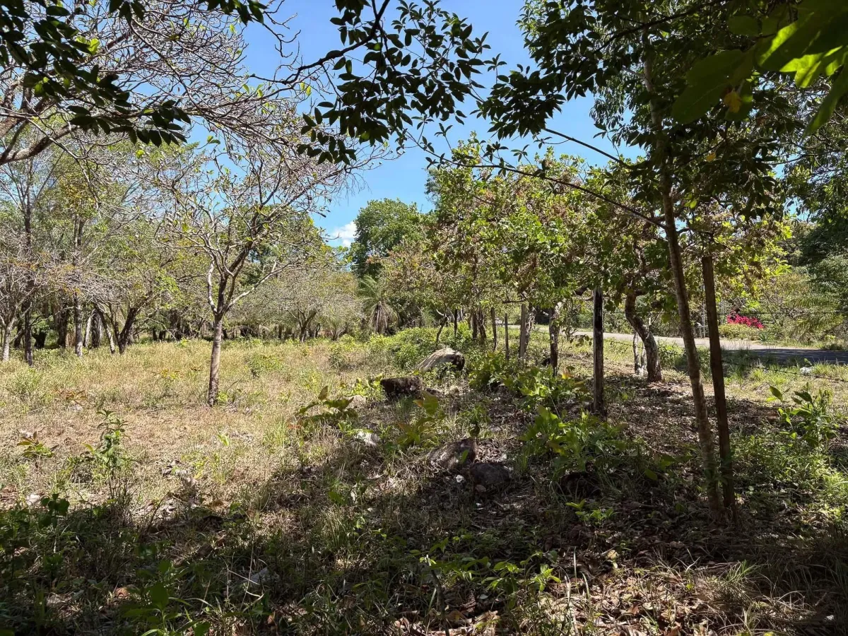Terreno plano de 9.445 m² en calle pavimentada en venta en Caldera
