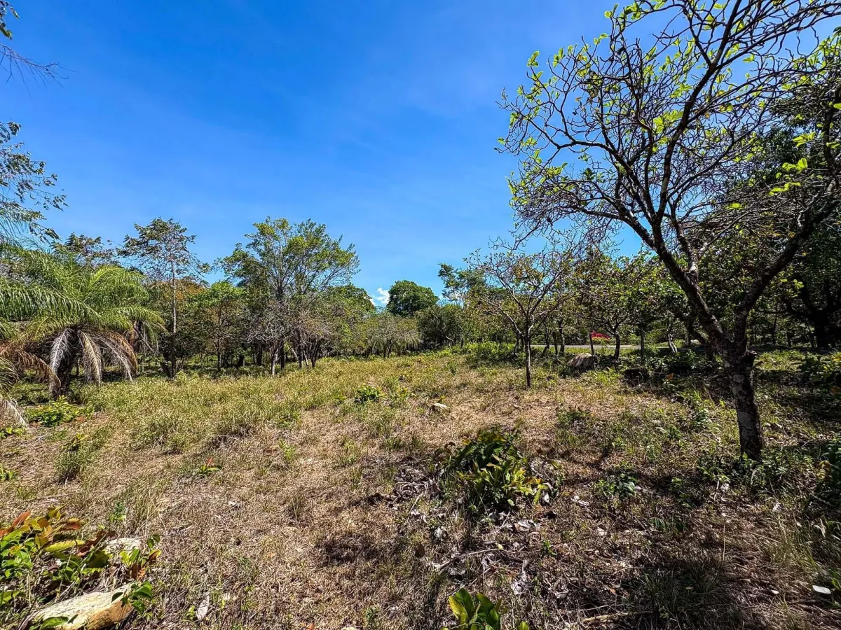 Terreno plano de 9.445 m² en calle pavimentada en venta en Caldera