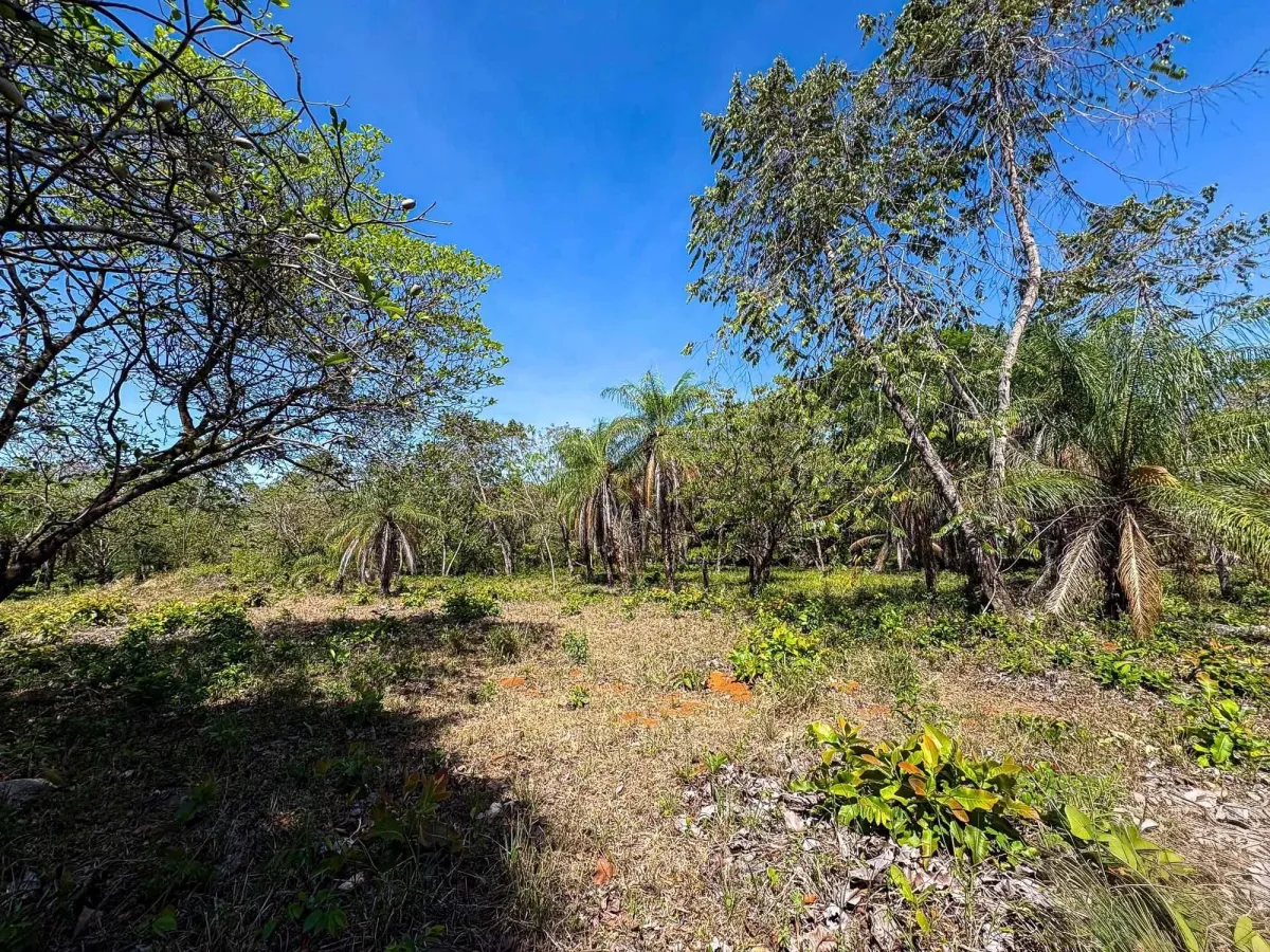 Terreno plano de 9.445 m² en calle pavimentada en venta en Caldera