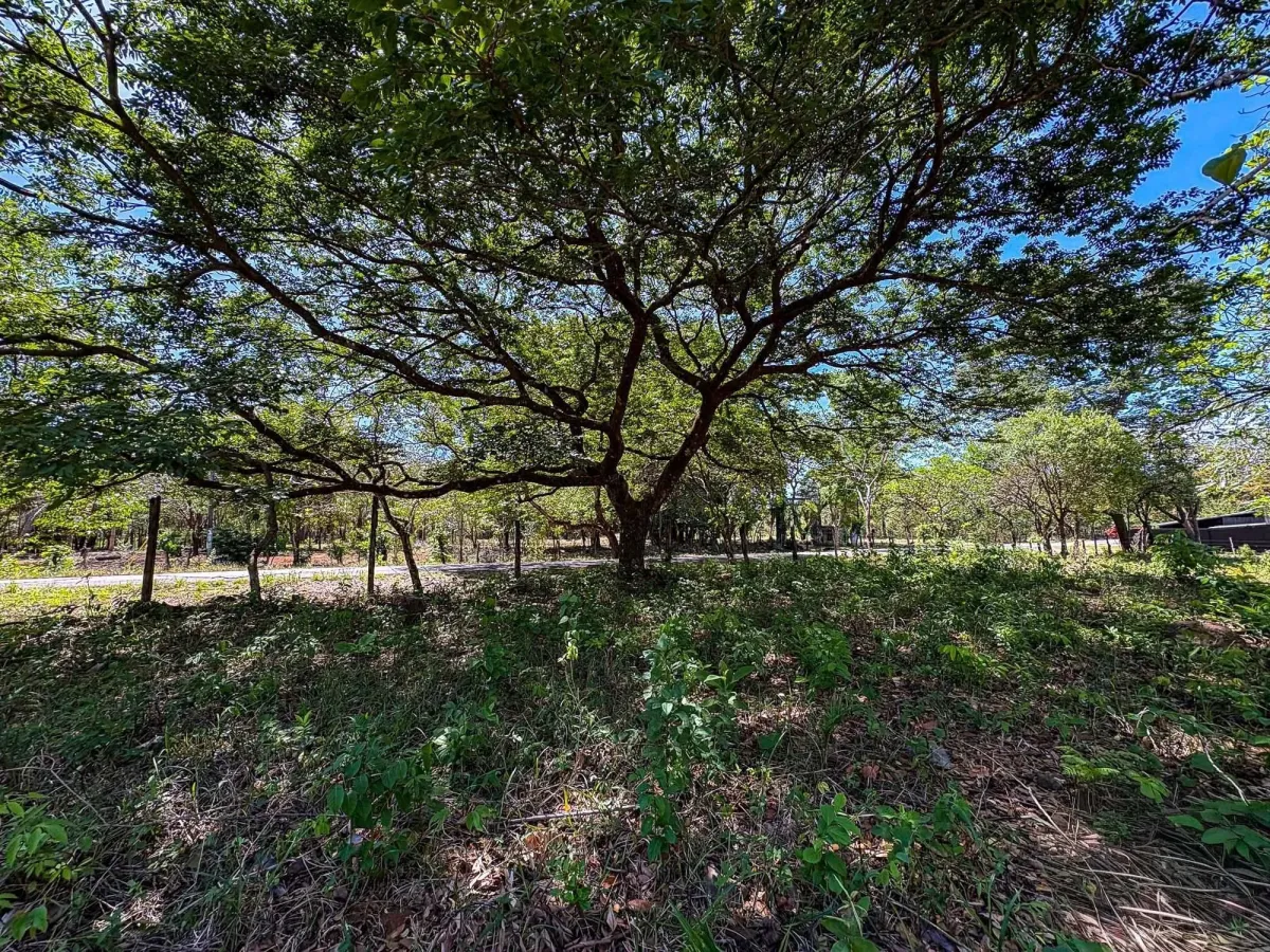 Terreno plano de 9.445 m² en calle pavimentada en venta en Caldera
