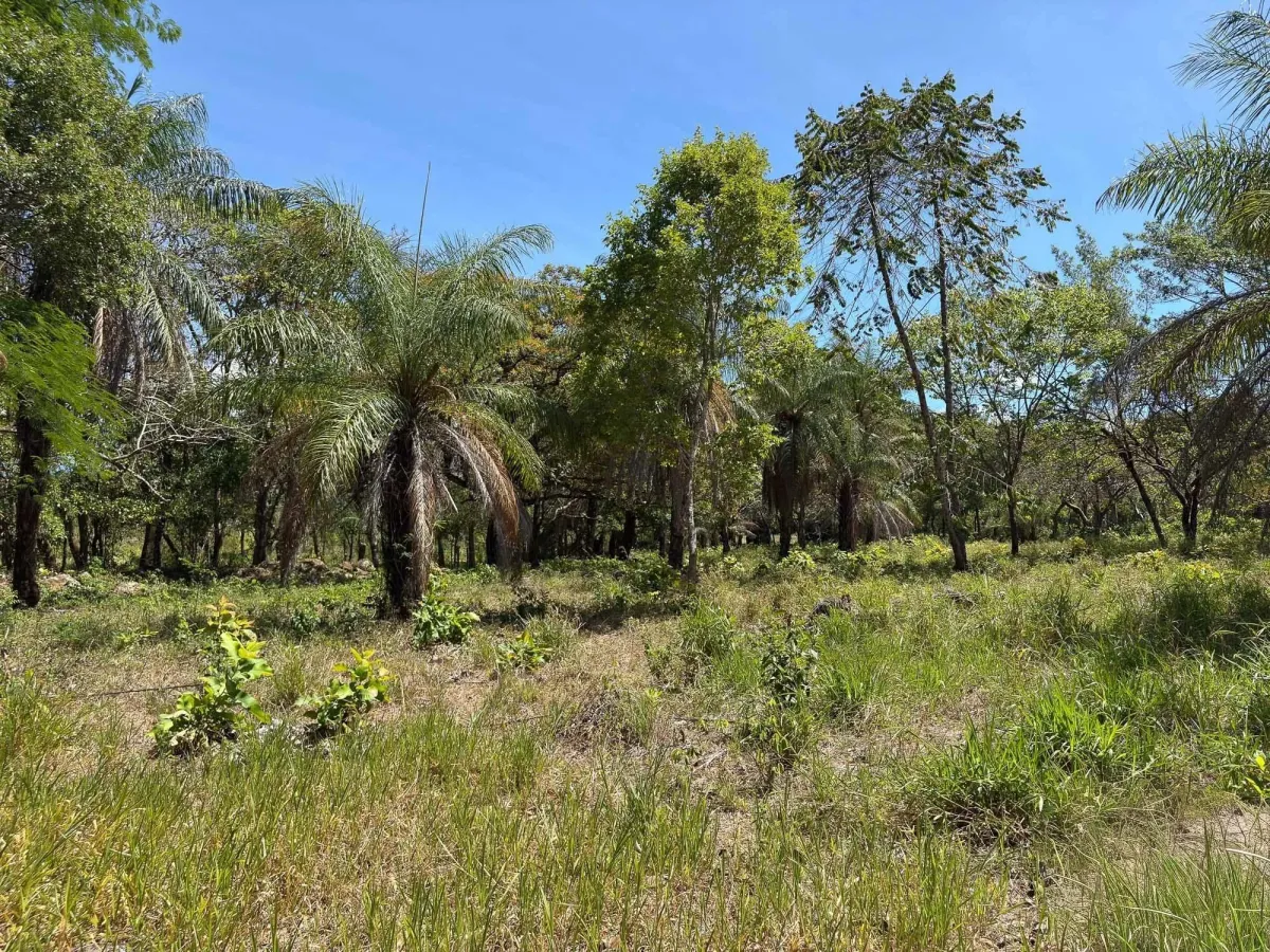 Terreno plano de 9.445 m² en calle pavimentada en venta en Caldera