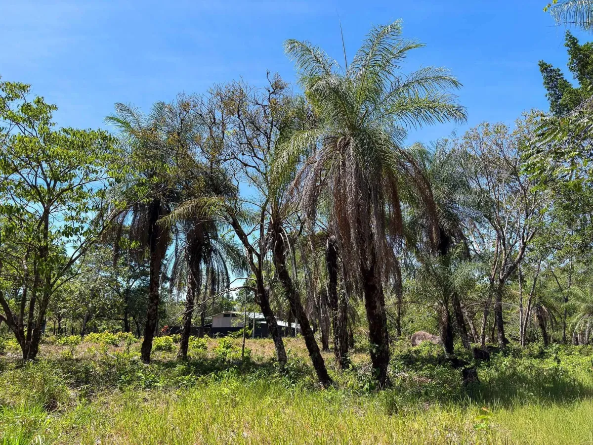 Terreno plano de 9.445 m² en calle pavimentada en venta en Caldera