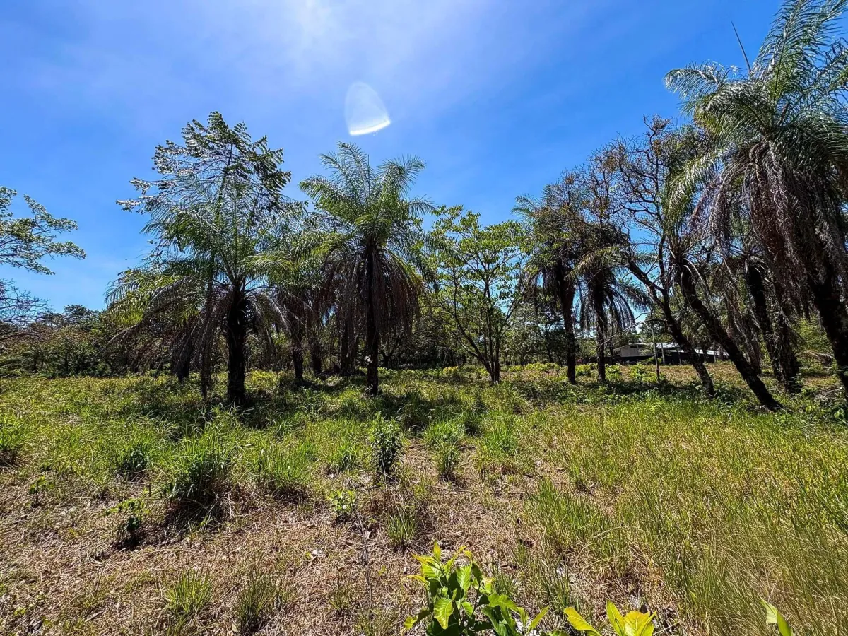 Terreno plano de 9.445 m² en calle pavimentada en venta en Caldera