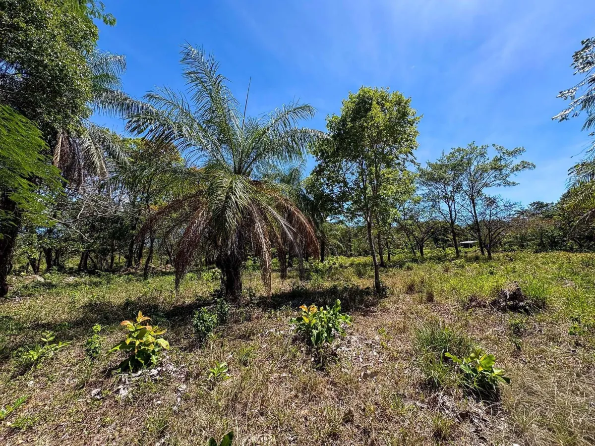 Terreno plano de 9.445 m² en calle pavimentada en venta en Caldera