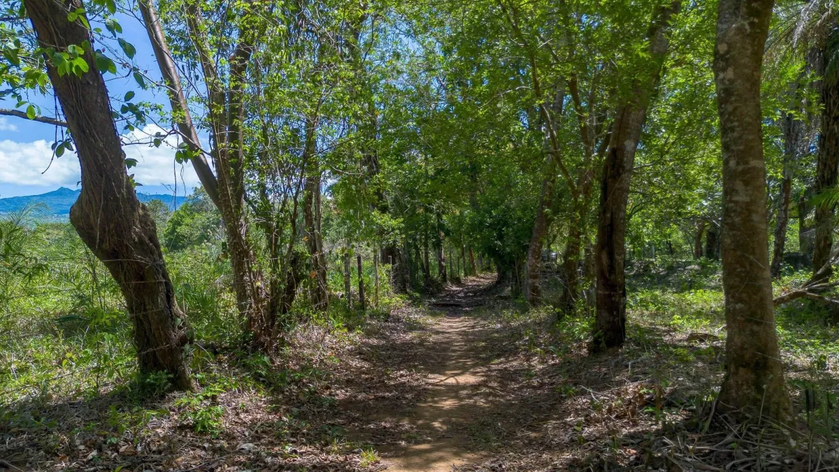 Terreno plano de 9.445 m² en calle pavimentada en venta en Caldera