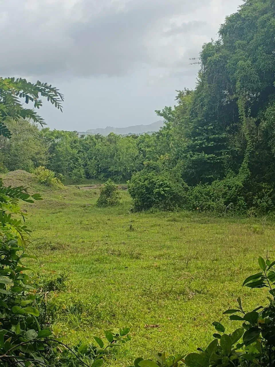 Villa Rosario Land Balloon