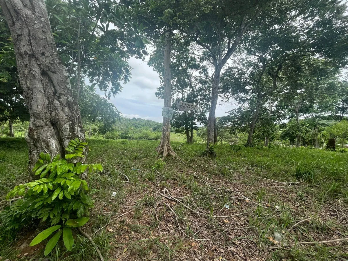 Villa Rosario Land Balloon
