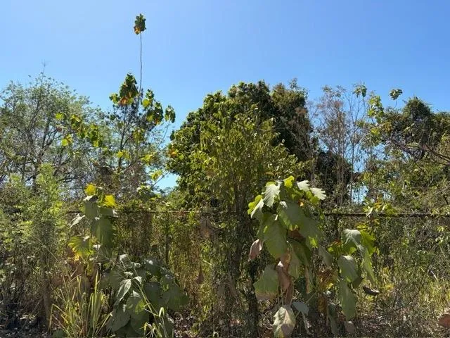 Plot of land in Bijao