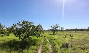 43 hectare plot of land in El Espino, Anton, Cocle