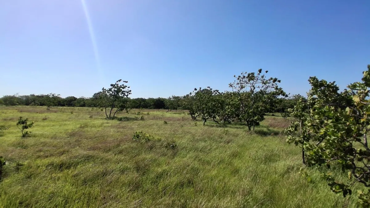 43 hectare plot of land in El Espino, Anton, Cocle