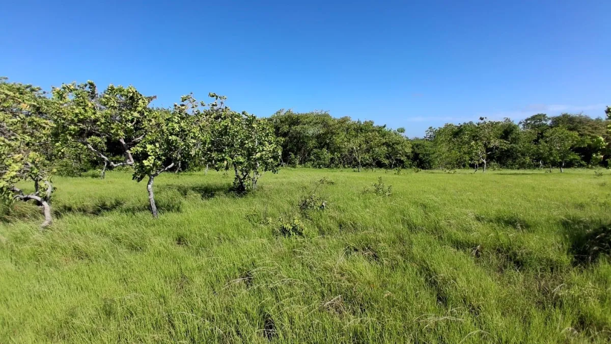 43 hectare plot of land in El Espino, Anton, Cocle