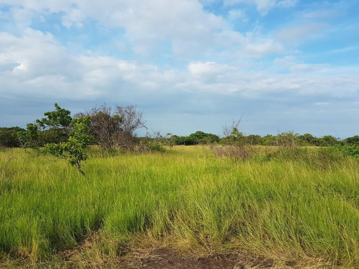 43 hectare plot of land in El Espino, Anton, Cocle