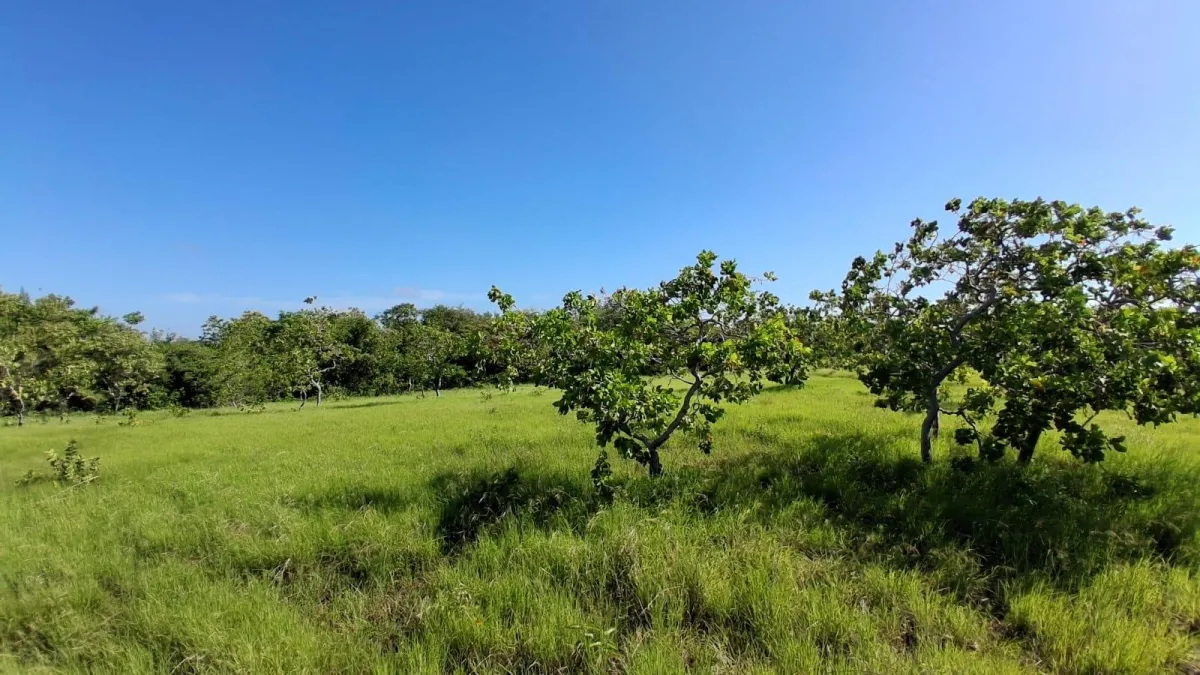 43 hectare plot of land in El Espino, Anton, Cocle