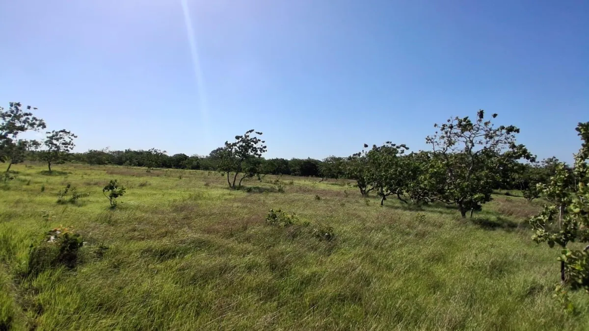 43 hectare plot of land in El Espino, Anton, Cocle