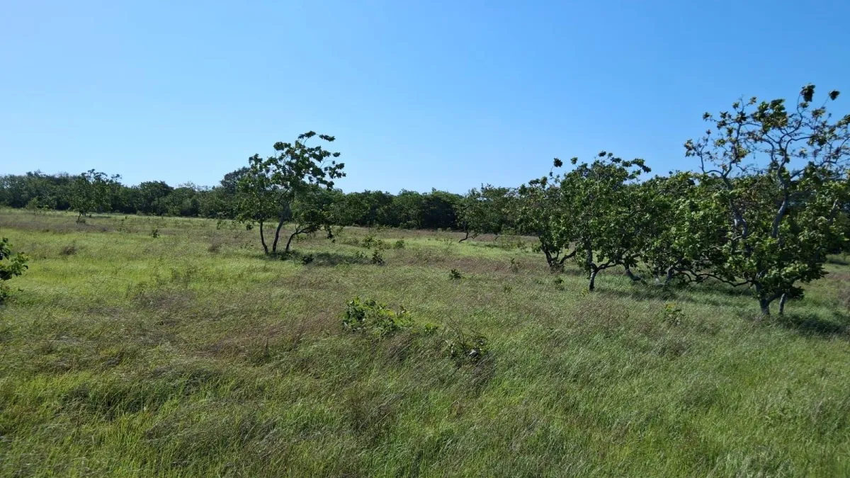 43 hectare plot of land in El Espino, Anton, Cocle