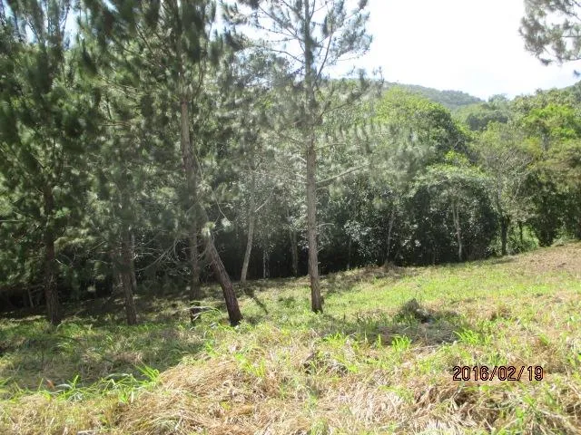 Dos lotes privados en venta en Altos del María
