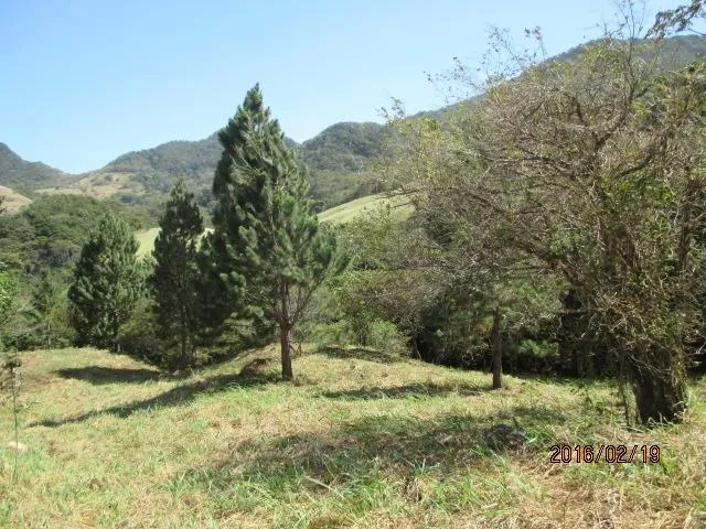 Dos lotes privados en venta en Altos del María