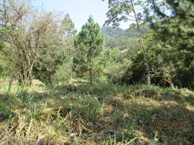 Dos lotes privados en venta en Altos del María