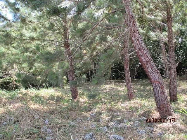 Dos lotes privados en venta en Altos del María