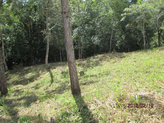 Dos lotes privados en venta en Altos del María
