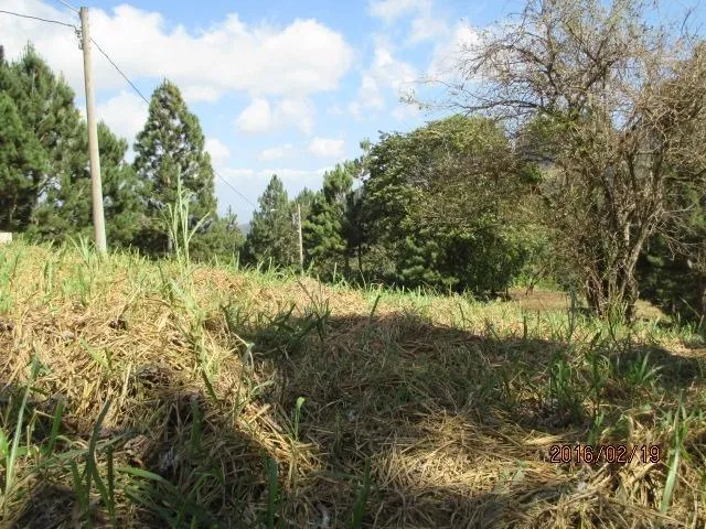 Dos lotes privados en venta en Altos del María