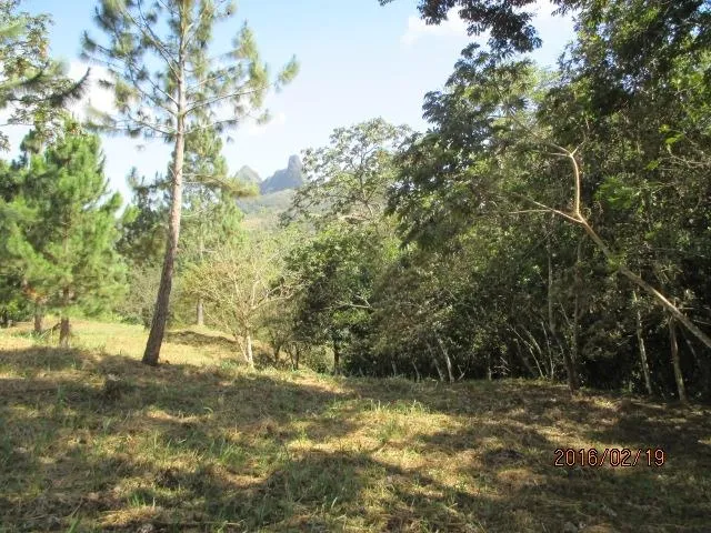 Dos lotes privados en venta en Altos del María