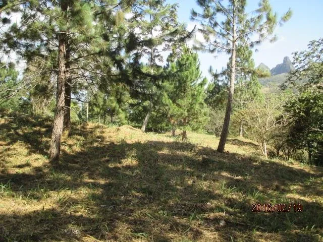 Dos lotes privados en venta en Altos del María