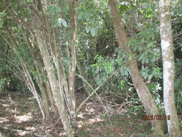 Dos lotes privados en venta en Altos del María
