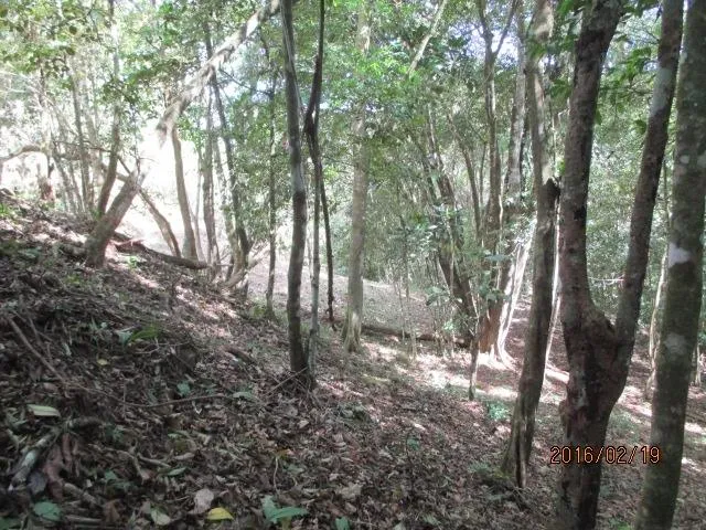 Dos lotes privados en venta en Altos del María