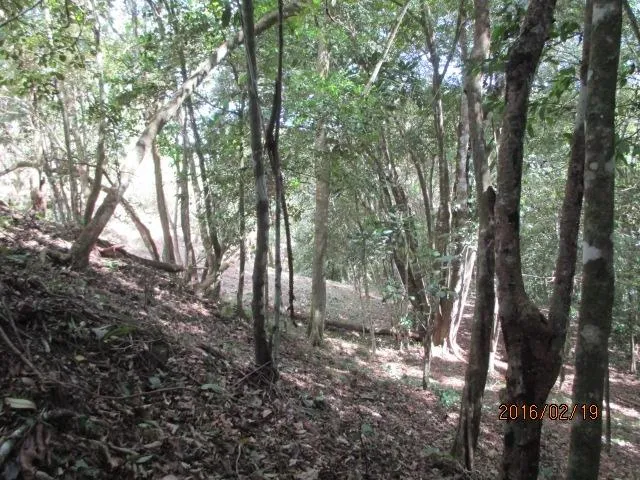 Dos lotes privados en venta en Altos del María