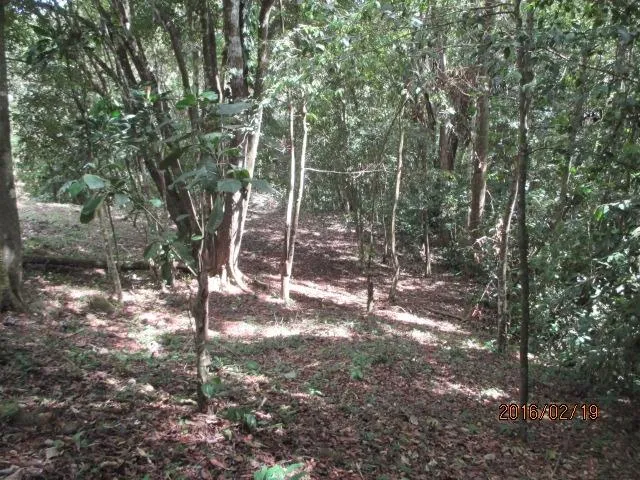 Dos lotes privados en venta en Altos del María