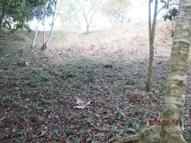 Dos lotes privados en venta en Altos del María