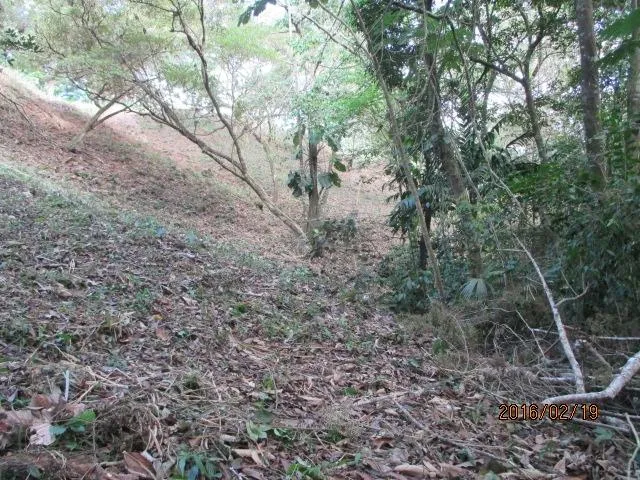Dos lotes privados en venta en Altos del María
