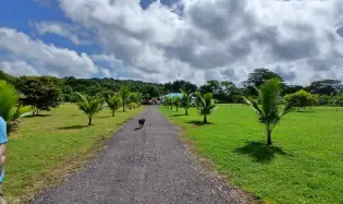 Finca bien concebida en una zona tranquila