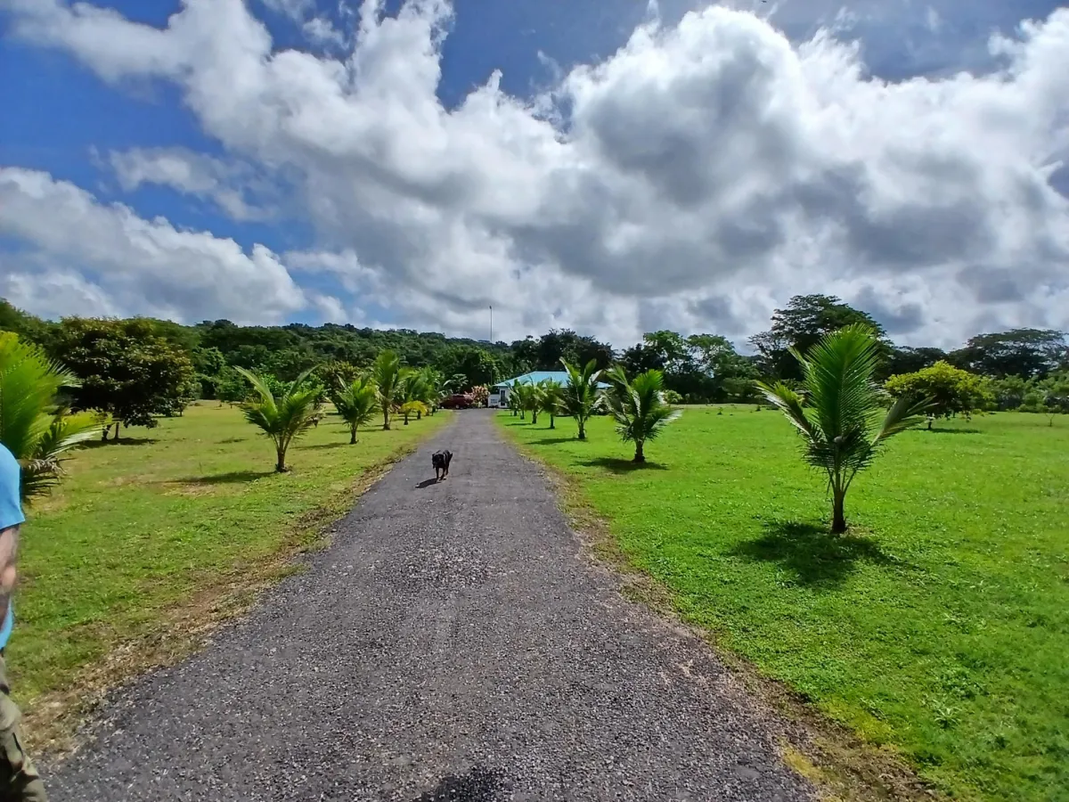 Finca bien concebida en una zona tranquila