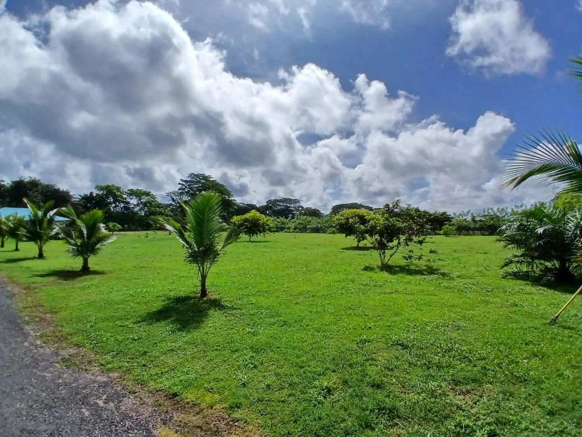 Finca bien concebida en una zona tranquila