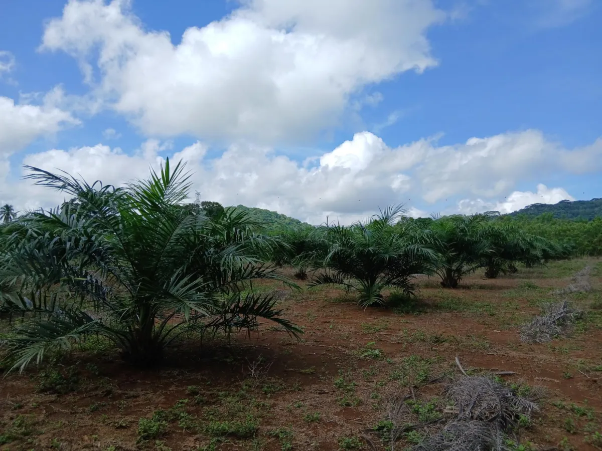 Finca bien concebida en una zona tranquila