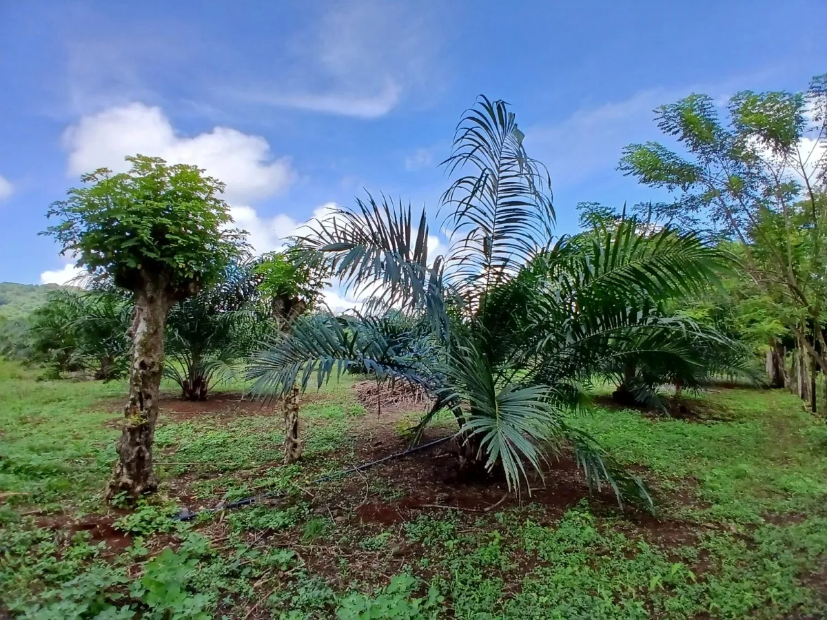 Finca bien concebida en una zona tranquila