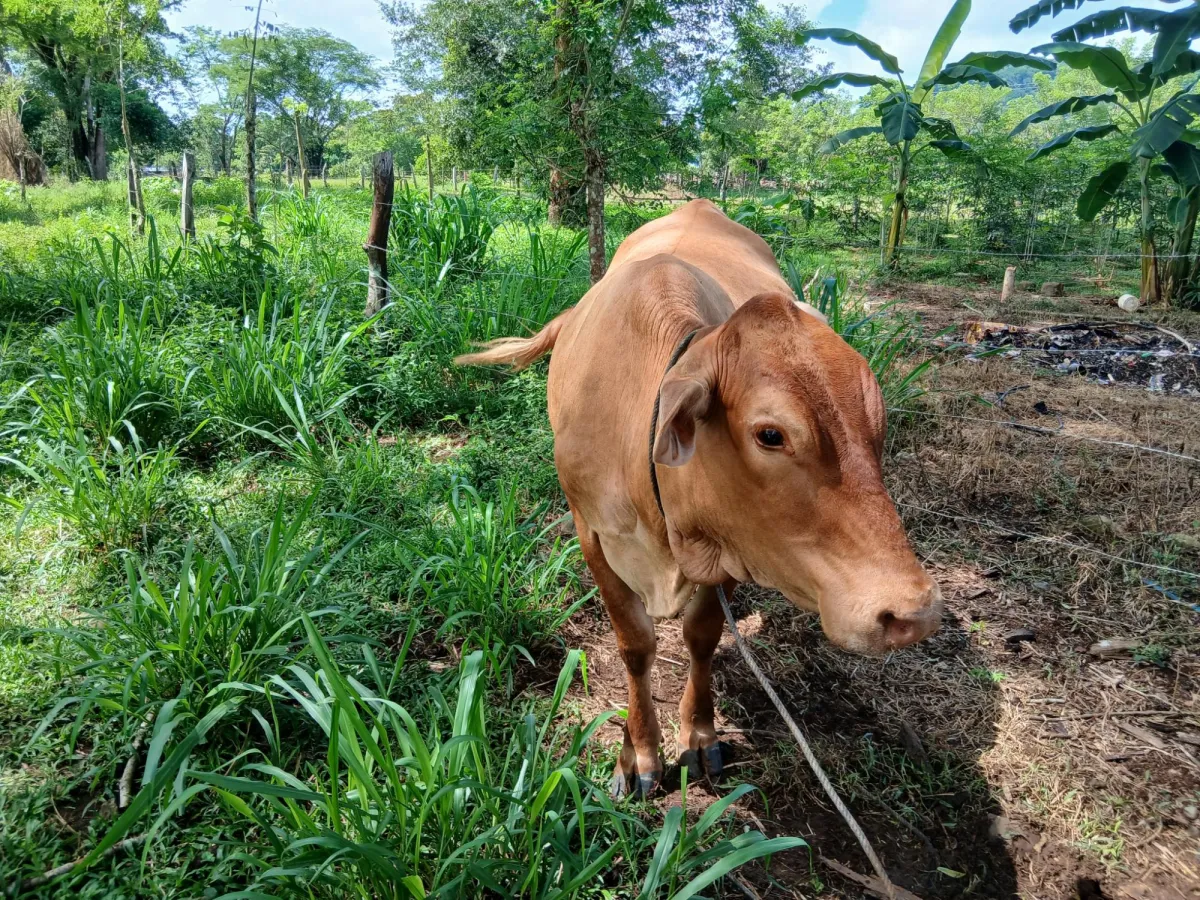 Finca bien concebida en una zona tranquila