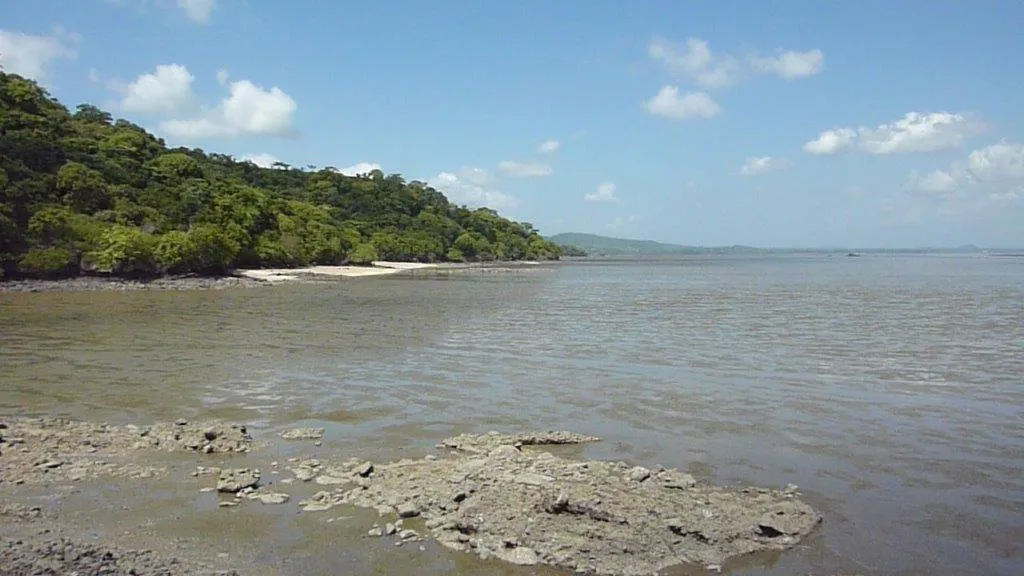 Hermosa y prístina propiedad frente al mar en Capira