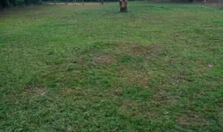 POTRERILLO ABAJO TERRENO EN VENTA