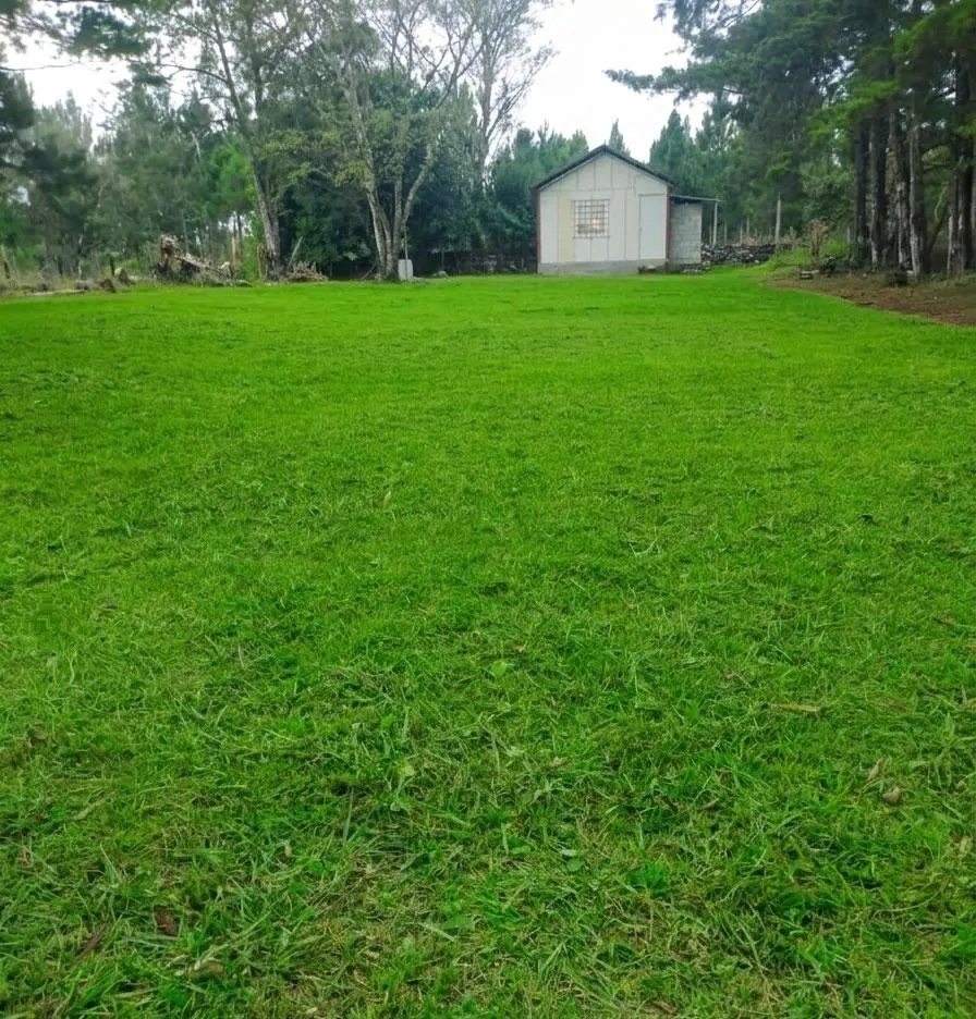POTRERILLO ABAJO TERRENO EN VENTA