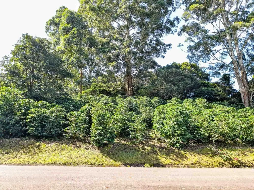 Lote Premium para Construcción de Viviendas en Las Terrazas –Boquete
